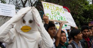 a person dressed as duck in a protest